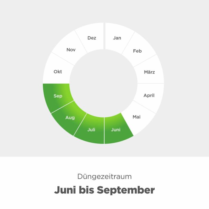 zimmerpflanzen düngen mondkalender Zimmerpflanzen Dünger, Monstera Dünger, 6 Monate Depotwirkung – PlantMe main image 0